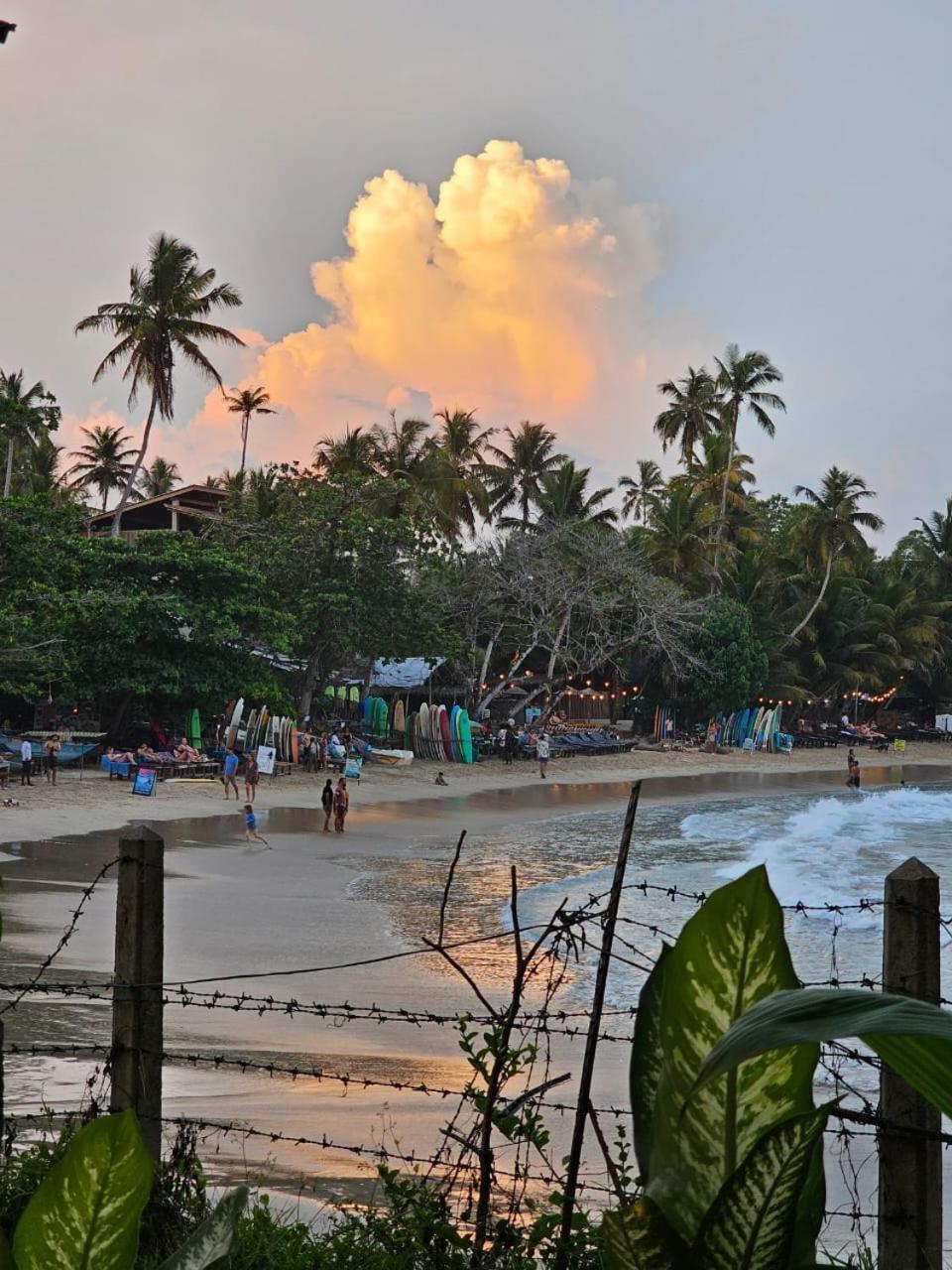 Muthu Sea View Hiriketiya Hotell Dikwella Exteriör bild